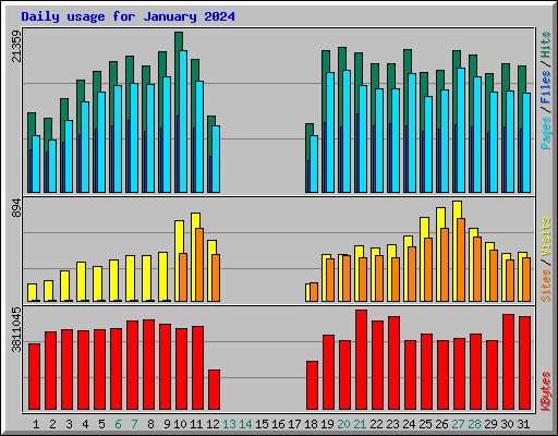 Daily usage for January 2024