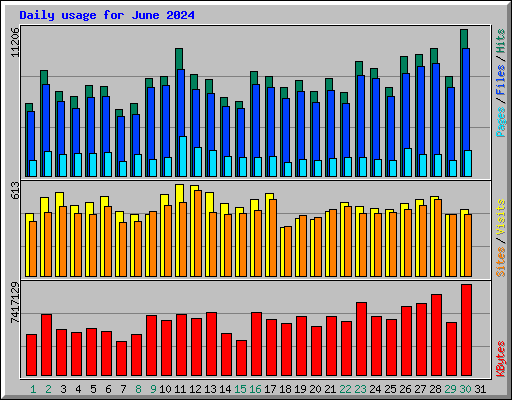 Daily usage for June 2024