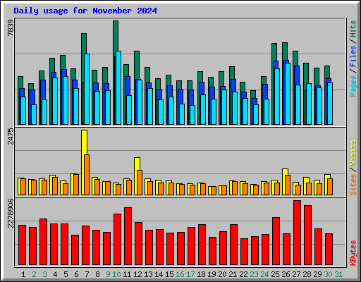 Daily usage for November 2024