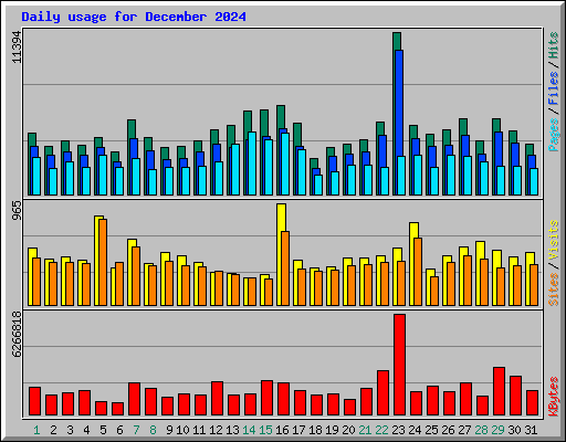 Daily usage for December 2024