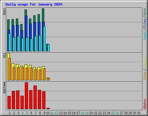 Daily usage for January 2025