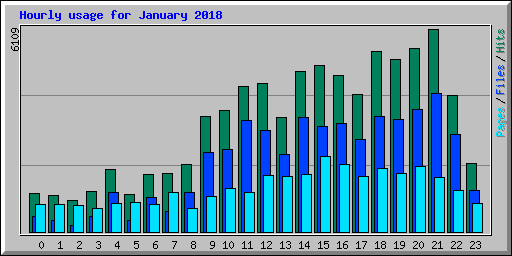 Hourly usage for January 2018