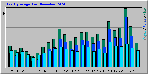 Hourly usage for November 2020