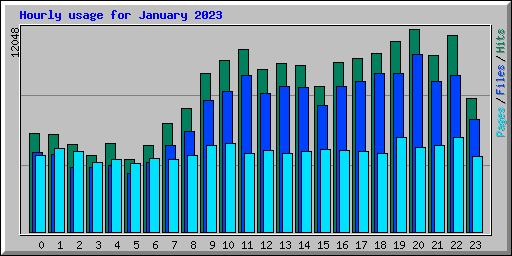 Hourly usage for January 2023