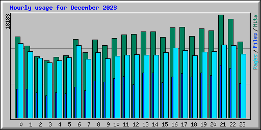 Hourly usage for December 2023