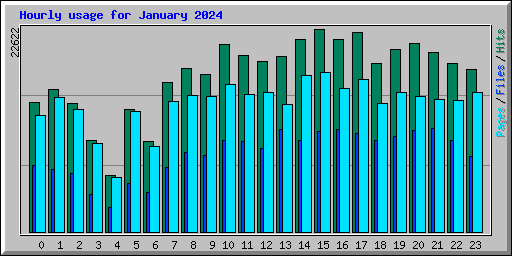 Hourly usage for January 2024