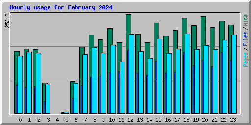 Hourly usage for February 2024