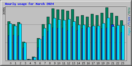 Hourly usage for March 2024