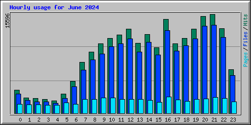 Hourly usage for June 2024