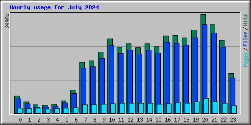 Hourly usage for July 2024