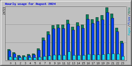 Hourly usage for August 2024