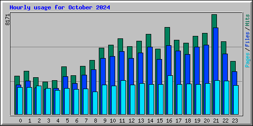 Hourly usage for October 2024