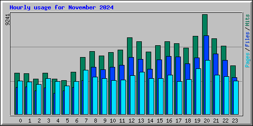 Hourly usage for November 2024