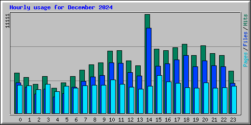 Hourly usage for December 2024