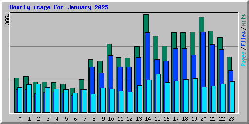 Hourly usage for January 2025